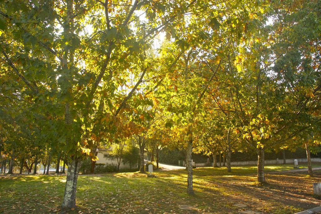 Gois Camping Экстерьер фото